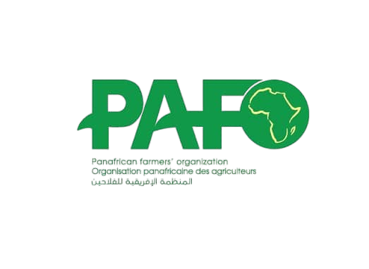 WhatsApp_Image_2025-12-13_at_12.07.25-removebg-preview