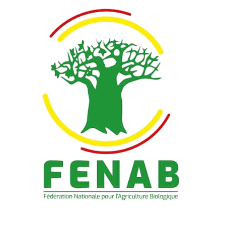 WhatsApp_Image_2025-12-13_at_12.07.49-removebg-preview